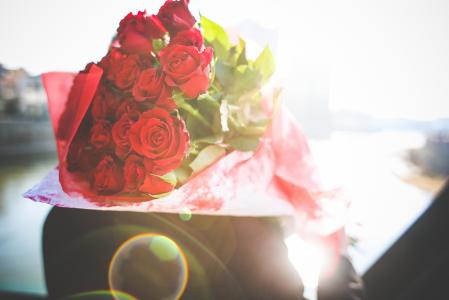 鲜花，玫瑰，礼物，宏观照片主题