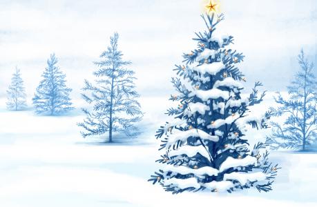 圣诞树，雪，绘图，新的一年，冬天