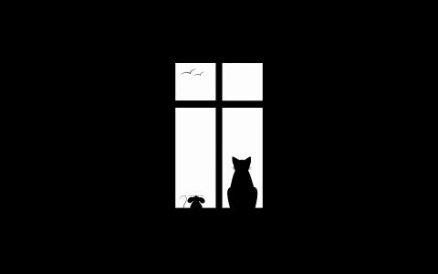 窗口，猫，极简主义，朋友，友谊，鸟类，老鼠