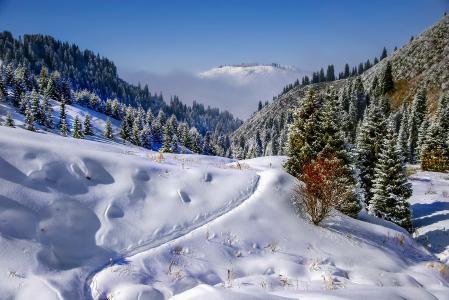 壁纸冬天，山，冷杉，雪，路径。