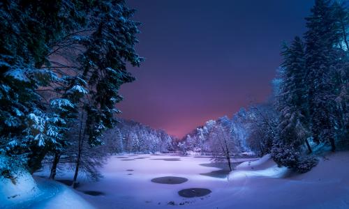 自然，景观，冬季，雪，树，池塘，夜