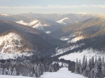 喀尔巴阡山，乌克兰，森林，山，美丽
