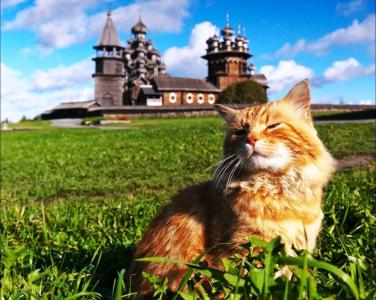 猫，风景与教堂