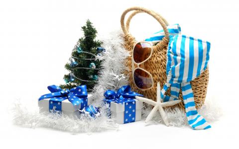 圣诞树，玩具，丝带，泳装，新年，海滩，弓，太阳镜，海星，明星，新的一年，金属丝，球，圣诞装饰品