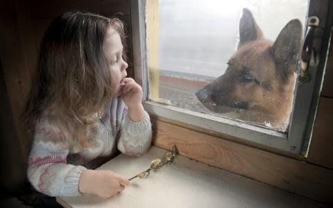 女孩，狗，窗口