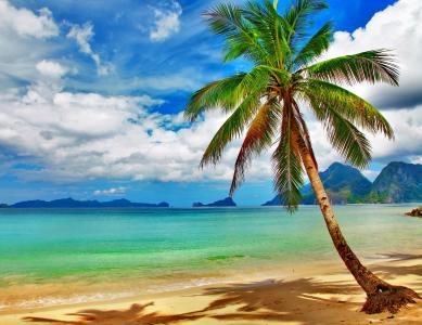 热带天堂海滩海岸海蓝色翡翠海洋棕榈热带天堂棕榈海洋自然美丽岛屿山海滩