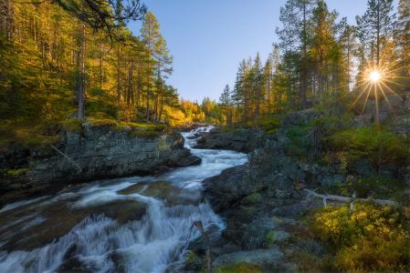 性质，秋季，挪威，国家公园，山区河流，森林，太阳，射线