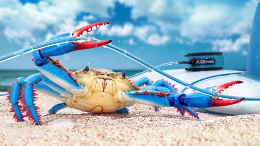 螃蟹，蓝蟹，渲染，呈现，数字艺术