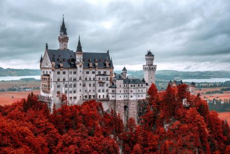 城堡，秋天，德国，Neoshchvastain，自然，美丽，天空，阴，新天鹅堡