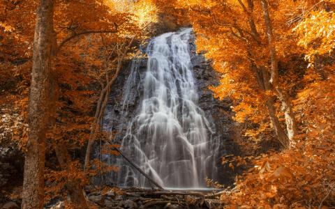 岩石，瀑布，秋天
