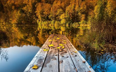 叶子，桥，秋，湖，性质