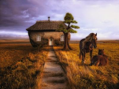 马，房子，草原，路