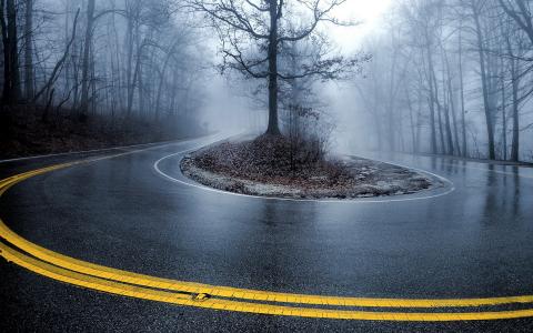 雾，景观，道路