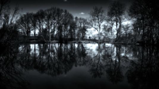 黑色和白色，桦树，在水中镜像反射