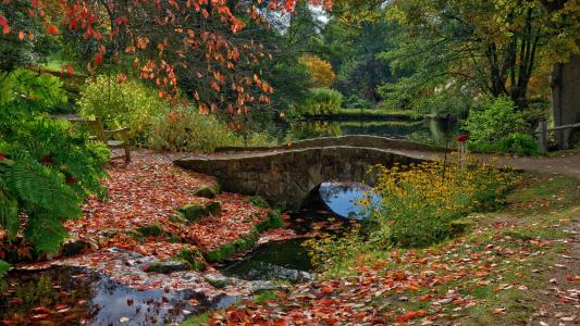 英国，公园，池塘，桥梁，秋天，Ardingly，叶子，性质