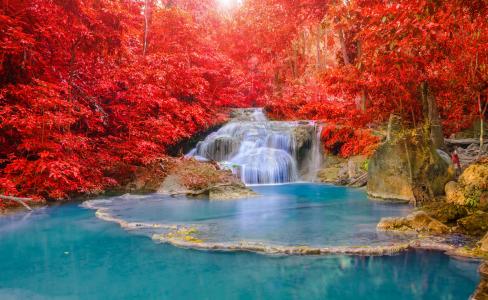 性质，秋季，森林，河，瀑布，瀑布，美丽，水，光，太阳