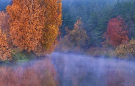 秋，自然，sysloch，早上，雾，黄金，反射，亚历山大·奈尔