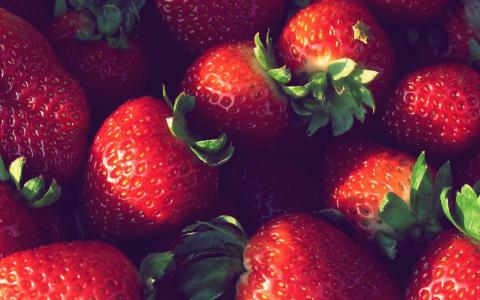 草莓，宏，浆果，食品