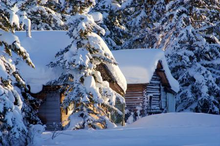 冬天，性质，早晨，冬天，房子，雪，美丽