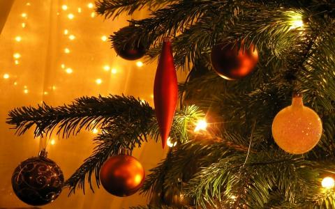圣诞树，灯，新的一年