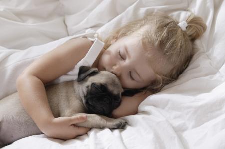 童年，孩子，狗，小女孩，小女孩，孩子，宠物，睡觉