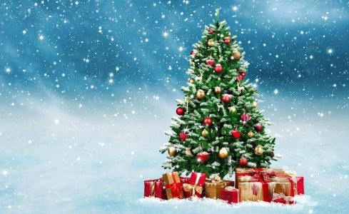 新年，假期，photoshop，积极，圣诞树，礼物，浅色背景，冬天