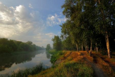 早晨，葡萄干河，夏天，雾，Petrichenko瓦列里