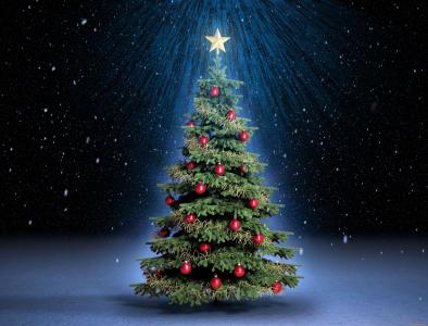 新的一年，枞树，幻想，艺术，工作，美丽，圣诞树，黑暗的背景