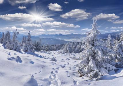 冬天，雪，树，山，小径，性质