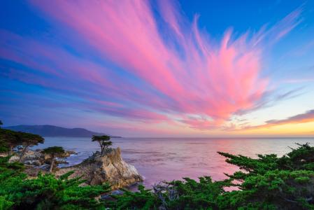 孤柏，卵石滩，加州，日落，景观