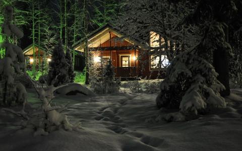 雪，冬天，房子，树
