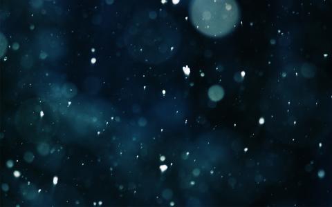 飘落的雪，晚上，美女，雪