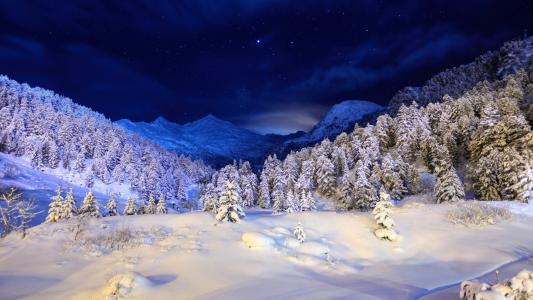 雪，山，冬天，树，天空，蓝色，树，夜