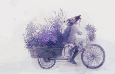 购物车，动漫，花朵，自行车，家伙