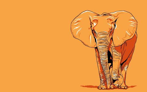大象，橙色，阴影