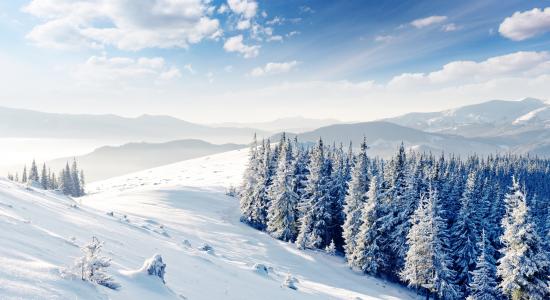 冬天，雪，树木，snowdrifts，景观