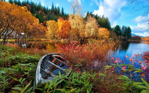性质，秋季，湖，河，小船，灌木丛，森林