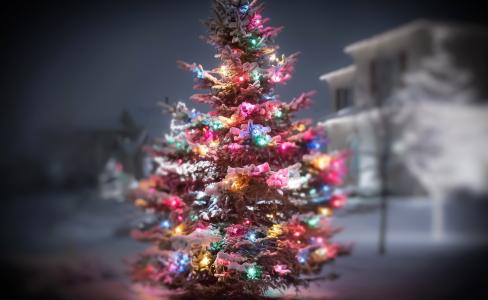 圣诞树，宏，照片，新的一年，2015年，冬天，积极