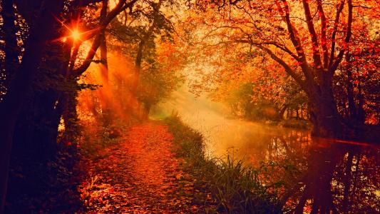 性质，秋季，河，美丽