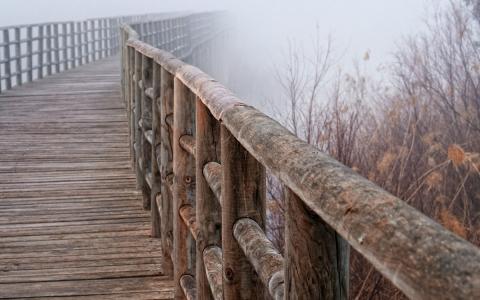 板，雾，桥，阴