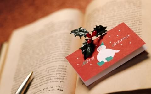 笔，书，新的一年，圣诞快乐，圣诞节，雪人