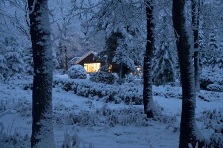 性质，冬天，雪，森林，房子，光