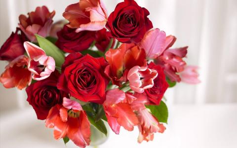 郁金香，玫瑰，花瓶，香水，花束