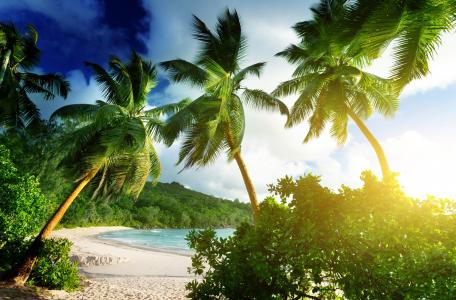 照片，性质，热带，海滩，棕榈树，丛林，山，海洋，光，太阳，天堂