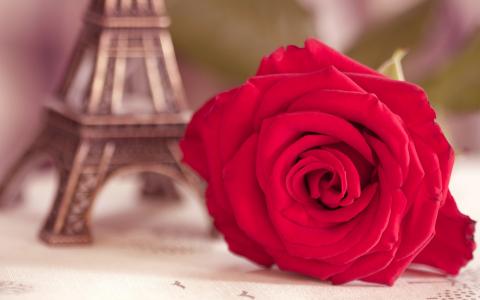 埃菲尔铁塔，雕像，宏，花卉，猩红色，玫瑰