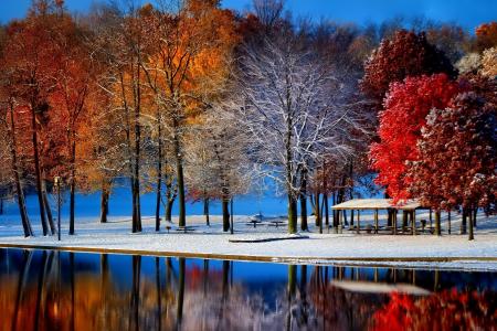 深秋，公园，池塘，树木，雪，倒影