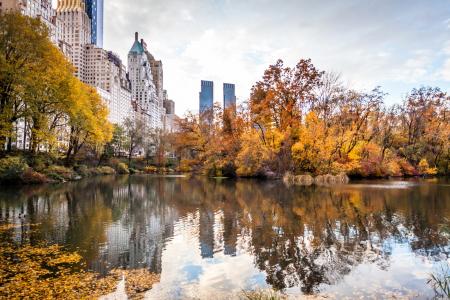 摩天大楼，公园，美国，纽约市，城市，纽约，美国，秋季，池塘，反射