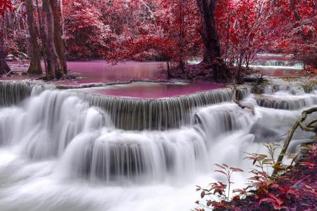 性质，秋季，树，叶子，森林，流，水，瀑布，紫色