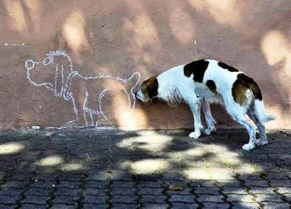 墙，绘画，狗，情况...