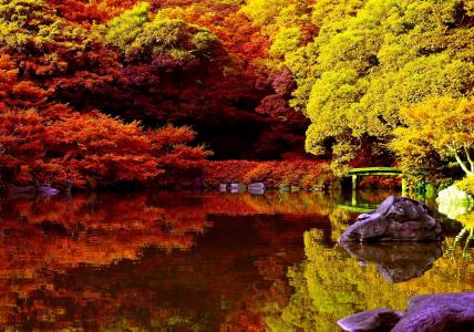 公园，秋季，美丽，湖，树，石头，性质